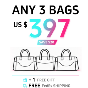 ANY 3 BAGS